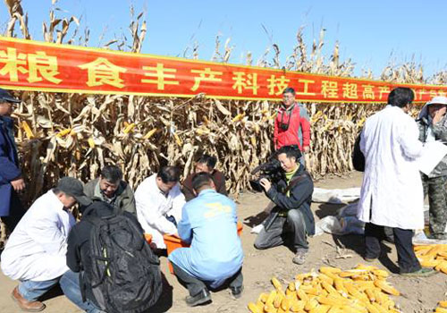 亩产万斤_吉林玉米亩产收入(2)